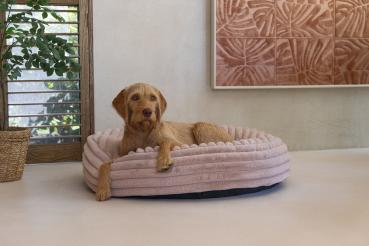 Preview: Kuschelplatz Reza - Farbe rosa